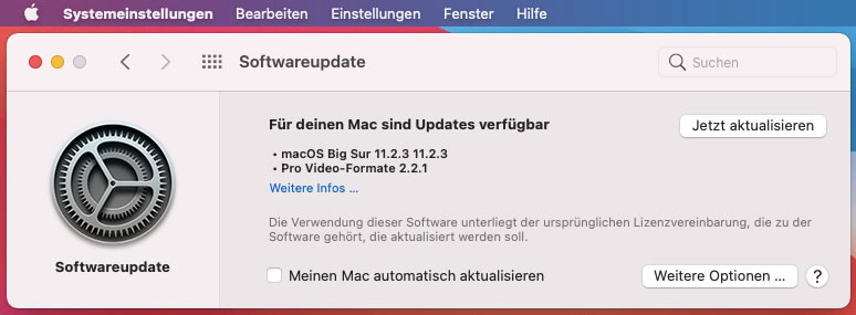 Apple OSX Big Sur - Software Updates